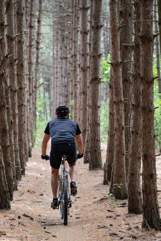 Paseos en bici por la Vía Verde del Tarazonica y por sendas naturales. 